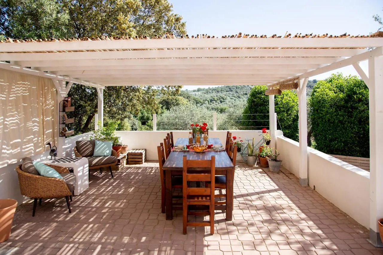 Oliveto Bed And Breakfast Alghero Couette-café